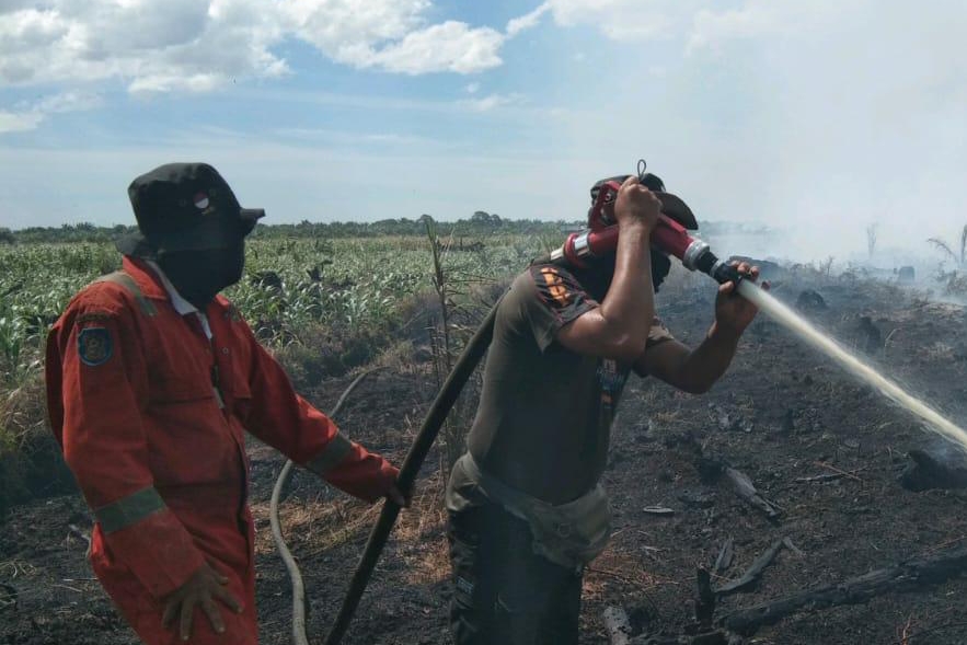 Sejak Januari Hingga Agustus, Polda Riau Tangani 20 Perkara Karhutla 