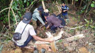 Tim BBKSDA Selamatkan Beruang Madu di Inhu Dari Jerat Warga