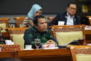 Pesawat Kepresidenan Dicat Merah Putih, DPR: Mending Dibelikan Beras
