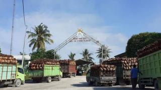 Petani Kopsa-M Tuding Pengurus Periode Lama Diduga Selewengkan PB