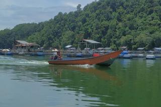 Bisnis Perikanan di Bumi Lancang Kuning Cukup Menjanjikan