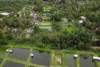 Lolos 50 Besar ADWI 2021, Inilah Desa Wisata Koto Mesjid Kampar