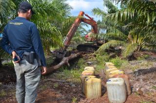 Tim Gabungan Tangkap Perambah Hutan di Kawasan SM Giam Siak Kecil Riau