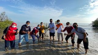 Cegah Abrasi, 14 Ribu Bakau Ditanam di Pesisir Pantai di Bengkalis Riau