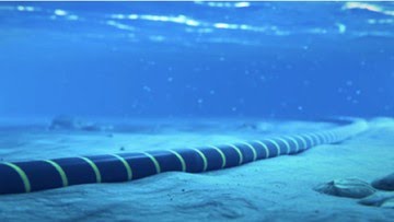 Bawah Laut RI Dilalui Kabel Australia-Singapura