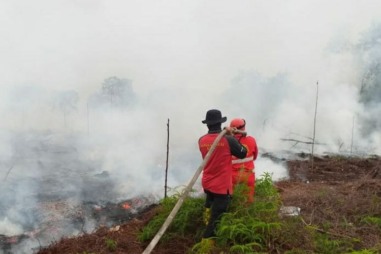 Selama 2021 Total Luas Lahan Terbakar di Riau Capai 1.286,25 Hektare