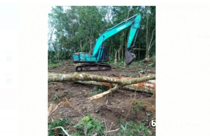 Memanas! PT Dutapalma Tumbang Kebun Karet Warga di Kuansing secara Sepihak