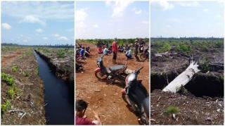Warga Desa Sungai Limau Protes, Lahan Hutan Diduga Dijadikan Kebun Sawit