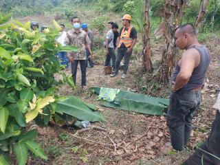 Tubuh Hangus Terbakar, 2 Pekerja Kontraktor Telekomunikasi Tewas Tersengat Listrik Tegangan Tinggi