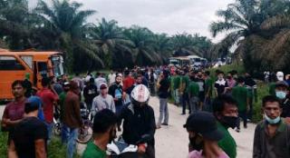 Raja Desril : Jaksa Berhak Tetapkan Pendana Sebagai Tersangka di Kasus Penyerangan Karyawan PT Langgam Harmuni