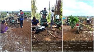 Gandeng KPH Bengkalis, Warga Sungai Linau Gelar Aksi Tanam Pohon di Lahan Gambut