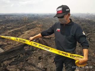 Terbukti Bakar Lahan, Pengadilan Hukum PT Kumai Sentosa Bayar Ganti Rugi Rp 175 Miliar