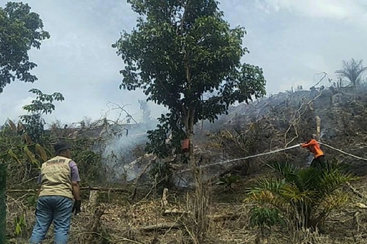 Kebakaran Lahan di Rantau Berangin, Satu Unit Helly Dikerahkan ke Lokasi