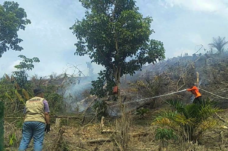 Tim Reaksi Cepat Berhasil Padamkan Kebakaran Lahan di Desa Merangin Kampar