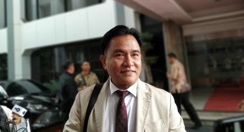 Yusril Gugat ke MA Agar Aturan Larangan Ekspor Benih Lobster Dicabut!