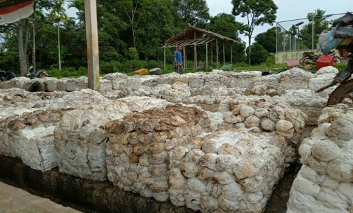Cenderung Naik, Ini Daftar Harga Karet di Riau Pekan Ini