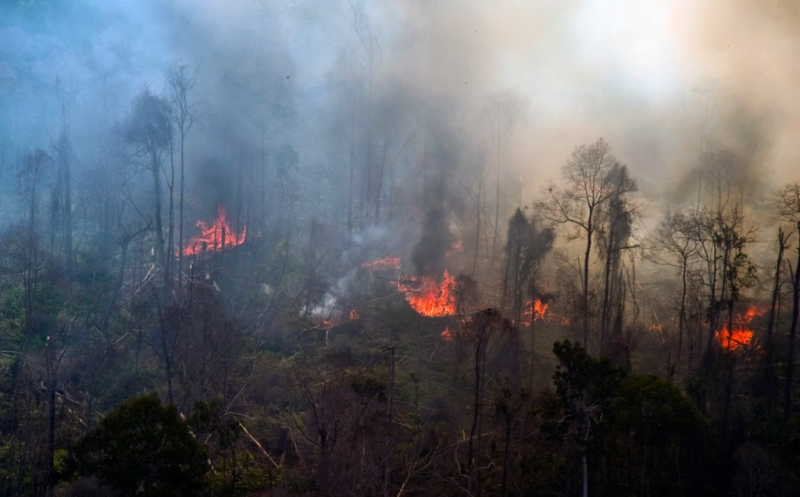Siaga Darurat Karhutla Riau Berakhir, Petugas Gabungan Tetap Monitoring