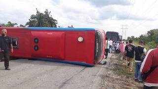 Kecelakaan Lintas Siak-Buton: Bus Meranti Express dengan Minibus Calya, Belasan Orang Luka-luka