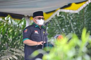 Harga Sawit di Riau Meroket Naik, Begini Penjelasan Ketua Apkasindo