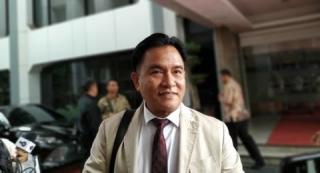 Yusril Gugat ke MA Agar Aturan Larangan Ekspor Benih Lobster Dicabut!