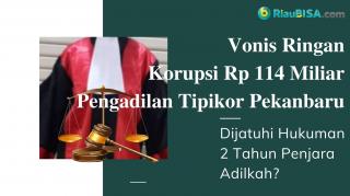 Tanggapi Vonis Ringan 2 Tahun Penjara Korupsi Rp 114 Miliar di Pengadilan Tipikor Pekanbaru, Hakim Tinggi Pengawas: Belum Ada Laporan!