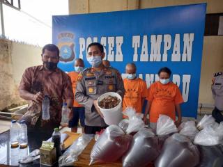 Jual Madu Palsu, Empat Orang Ini Ditangkap Polsek Tampan Pekanbaru
