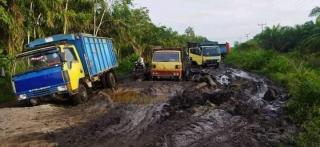 Viral Jalan Rusak Parah di Bengkalis, Netizen: Mulai Bapak sampai Ibu Jadi Bupati, Sebiji Batu Pun Tak Ada! 