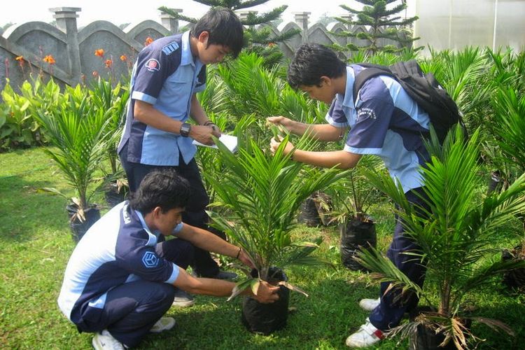 192 Mahasiswa Asal Riau Dapat Beasiswa dari BPDPKS