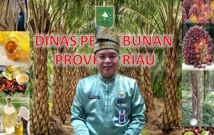 Harga Bokar Ditingkat Pabrik di Riau Pekan Ini Naik Rp 200 Per Kg