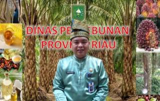 Harga Bokar Ditingkat Pabrik di Riau Pekan Ini Naik Rp 200 Per Kg