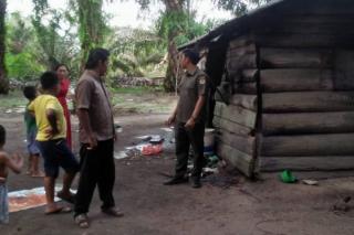 Beruang Rusak Dua Rumah Warga dan Makan Ayam Ternak di Desa Bukit Kesuma Pelalawan