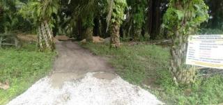 Proyek Semenisasi Jalan di Tengah Kebun Sawit Dibiayai APBD Bengkalis, Netizen: Ado Tanah Pejabat di Dalam Tuh!