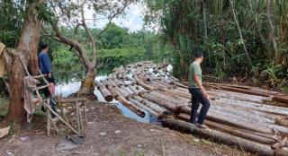 Anak Jenderal Ditangkap Ditreskrimsus Polda Riau Bersama 10 Ton Kayu Illegal Logging