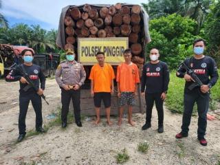 Curi Hasil Kayu Olahan Hutan, Polres Bengkalis Gulung 2 Pelaku