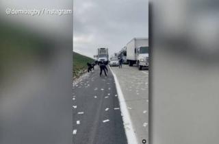 Hujan Uang dari Truk Lapis Baja Kacaukan Jalan di AS