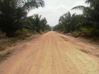Bantuan Sarpras Jalan Kebun dari BPDPKS, Tunggu Apalagi Ini Syaratnya