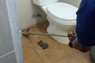 Bahaya, Ular Kobra Muncul di Toilet Gerai Oleh-oleh Pekanbaru dan Semburkan Bisa Ke Petugas