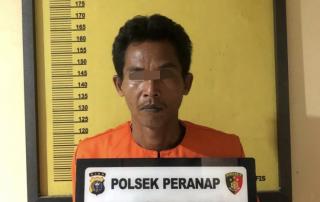 Kayu Olahan Illegal di Riau Diamankan Dari Truk Nopol Sumbar