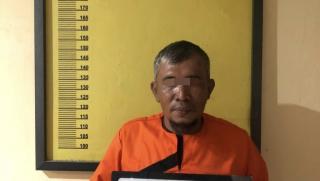 Pemilik Kayu Illegal Olahan di Peranap Inhu Ditahan Polisi