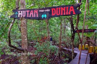 Pemprov Riau Serius Perbaiki Tata Kelola Sumber Daya Alam