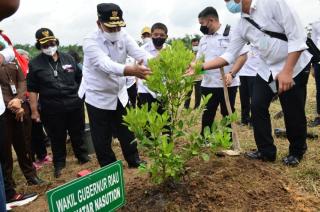 Wakil Gubernur Riau Dampingi Menteri LHK Tanam Pohon Buah di Pelalawan