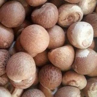 Harga Pinang Kering di Riau Pekan Ini Turun jadi Rp 15.150/Kg