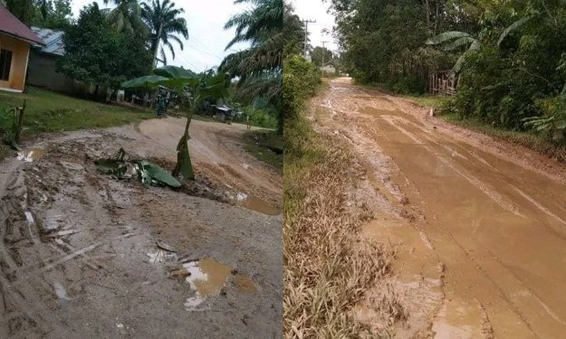 Rusak Parah, Akses Jalan Desa Menuju Kampung Plt Bupati Kuansing Ditanami Pohon Pisang