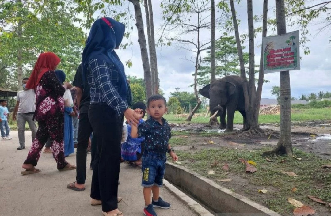 Libur Tahun Baru, Kebun Binatang Kasang Kulim Siak Hulu Ramai Dikunjungi Warga