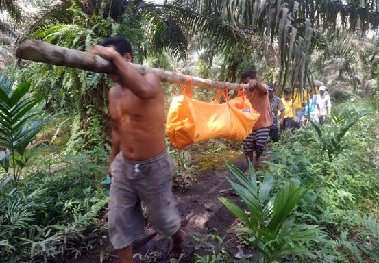 Seorang Nelayan di Pelalawan Ditemukan Meninggal Dunia