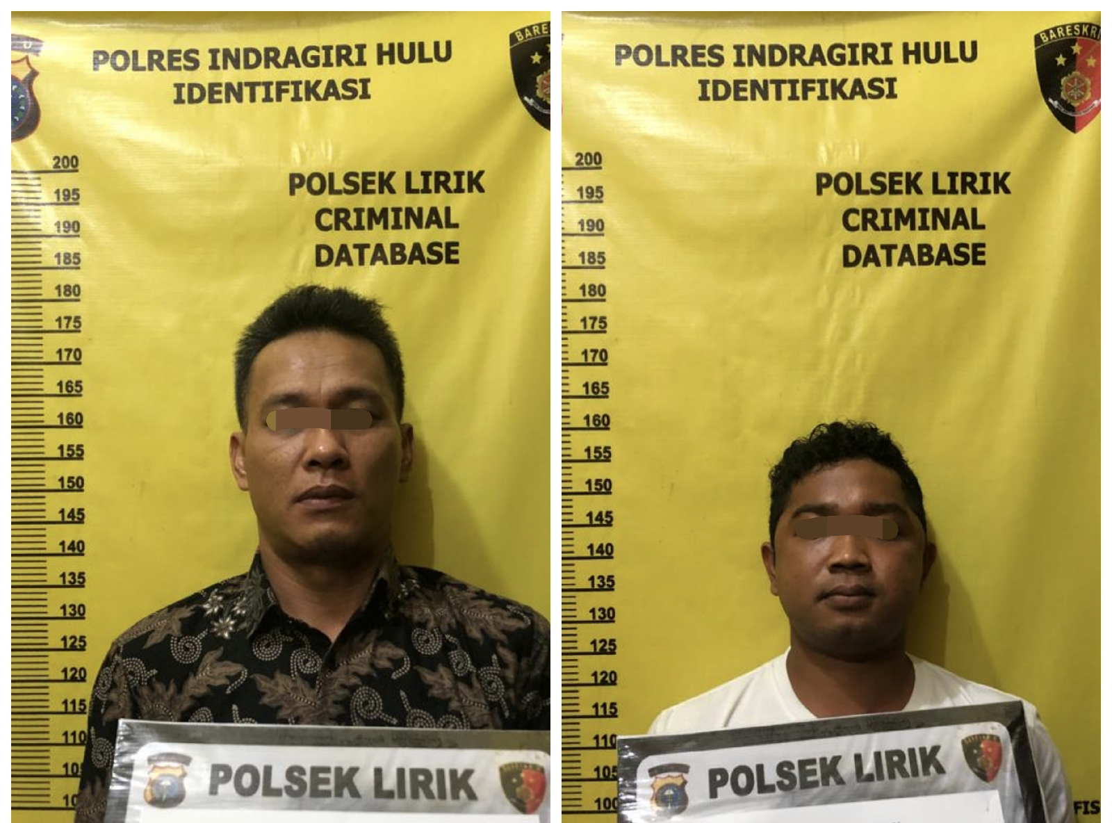 Usai Ditetapkan DPO, 2 Pelaku Pencuri Sawit di Inhu Dibekuk Polisi
