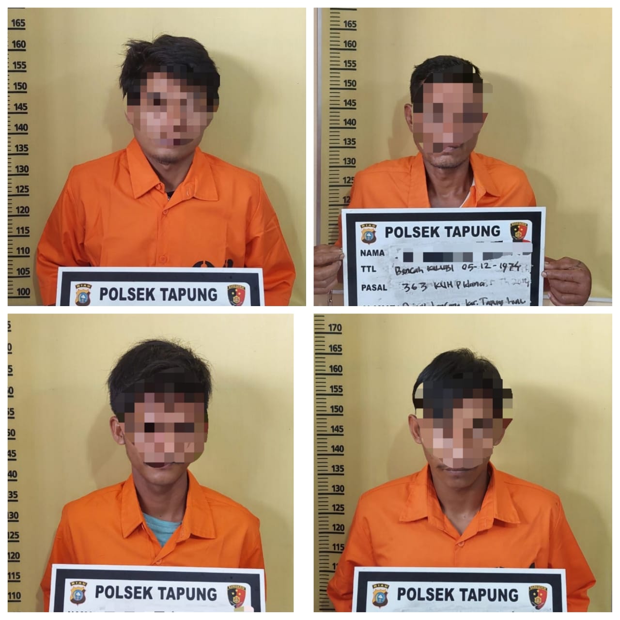 4 Orang Warga Kampar Ini Bawa Kabur Sapi Warga Pakai Pikap