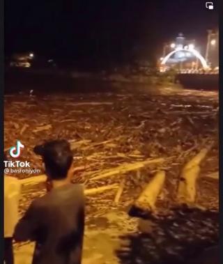 Viral, Video Aliran Sungai di Rokan Hulu Dipenuhi Pohon