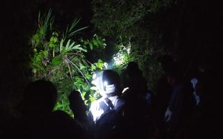 Lihat Bunga Bangkai, Delapan Pelajar Terjebak Arus di Wilayah Ngarai Sianok hingga Dini Hari