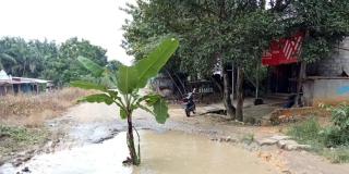 Tak Kunjung Diperbaiki, Warga Tanam Pohon Pisang di Jalan